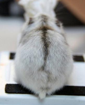 여자들이 반할 수 밖에 없다는 뒷모습 ㄷㄷㄷ.JPG | 인스티즈